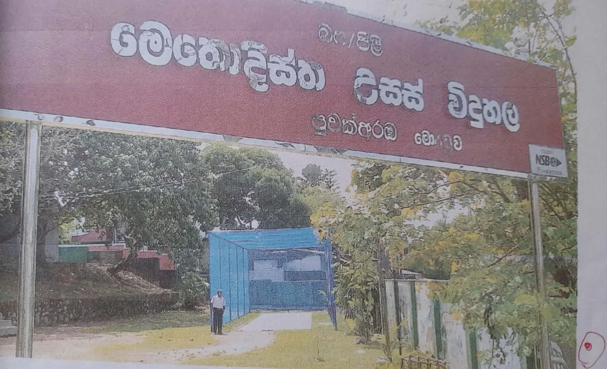 Article image